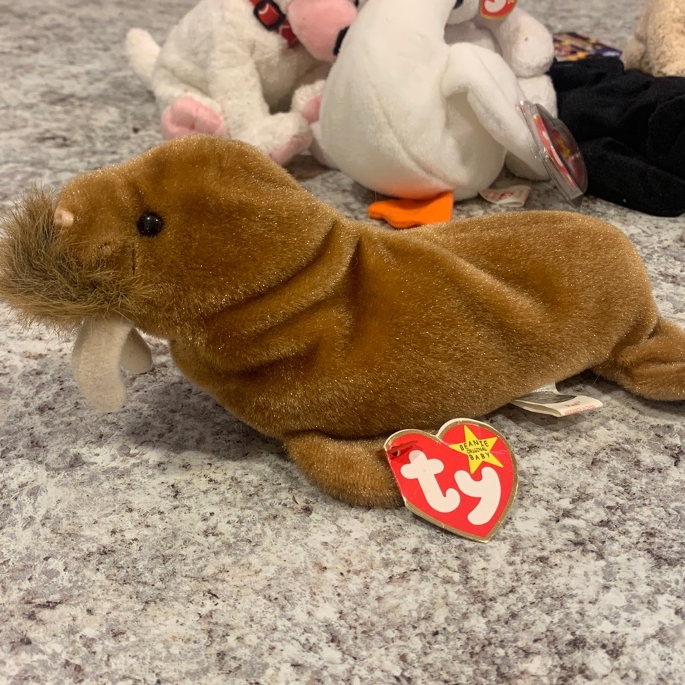 1999 Paul Ty Beanie Baby with Errors and Tags